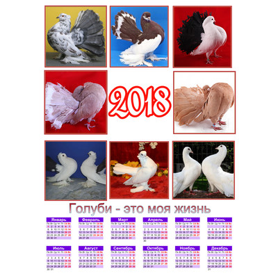 Календари со статными голубями