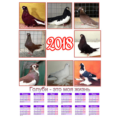 Календарь с Тулькими голубями