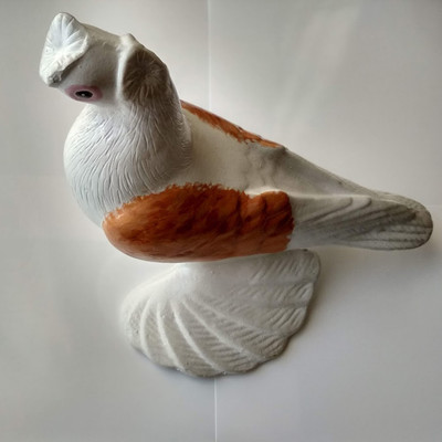 Узбек оранжевые крылья