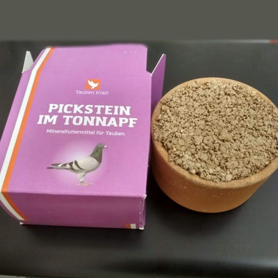 Pickstein in Tonnapf в горшочке