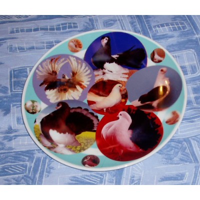 Тарелка с 6 видами голубей