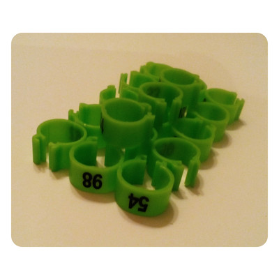 Маркеровочное кольцо Ø10 ММ с номером (зеленое)